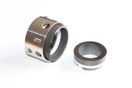 Anello di Tenuta Meccanica Ceramica Sic Alta Pressione