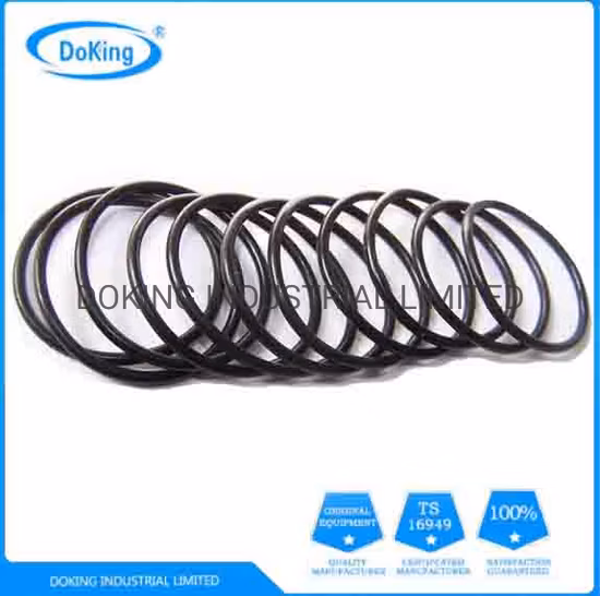 Guarnizione in Viton O-ring in gomma Nok NBR per tenuta meccanica di attrezzature industriali