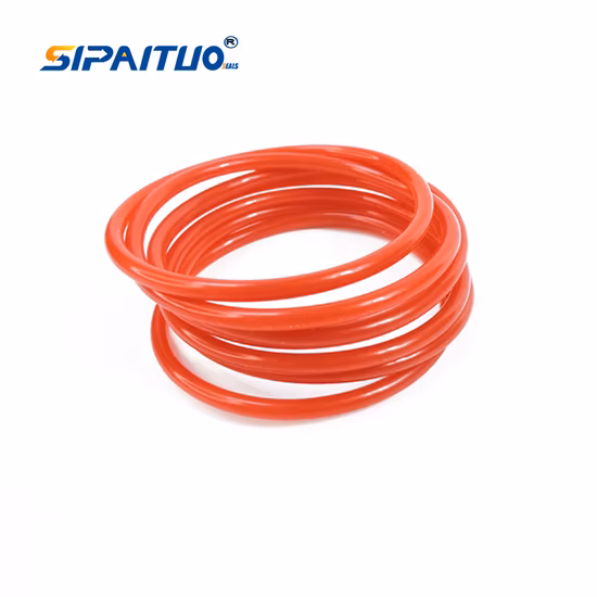 Guarnizioni O-ring in gomma Swks FKM NBR HNBR EPDM Silicone O