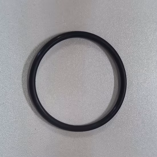 Guarnizione O-ring FKM Guarnizione in gomma personalizzata incapsulata FEP Silicone NBR EPDM Viton Oring O